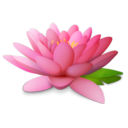 10670-Tatice-Lotus.png