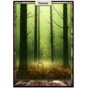 12495-Dsmc-Forest.png