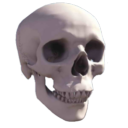 15338-DjpOner-TeteDeMort3DSkull.png