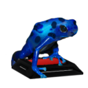 18729-Zouly-azureus.png