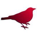 19007-Bedarride-RedBird.png