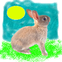 24505-xw1ndp0werx-Lapin.png