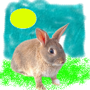 24507-xw1ndp0werx-Lapin3.png