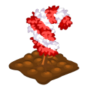 24641-Phoenix27-candycane.png