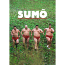 27490-blindskate-sumo.png