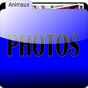 30901-f14-photoanimaux.png