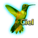 4984-GvZ-Ciel.png