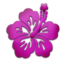 6463-LloydBanks-Hibiscus.png